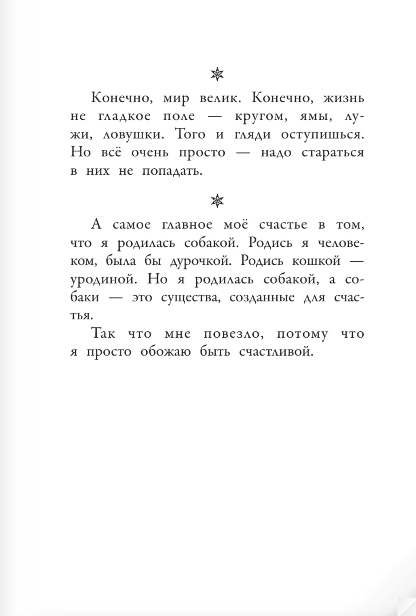 Хулиганские дневники собачки Гурти. Клуб заклятых врагов