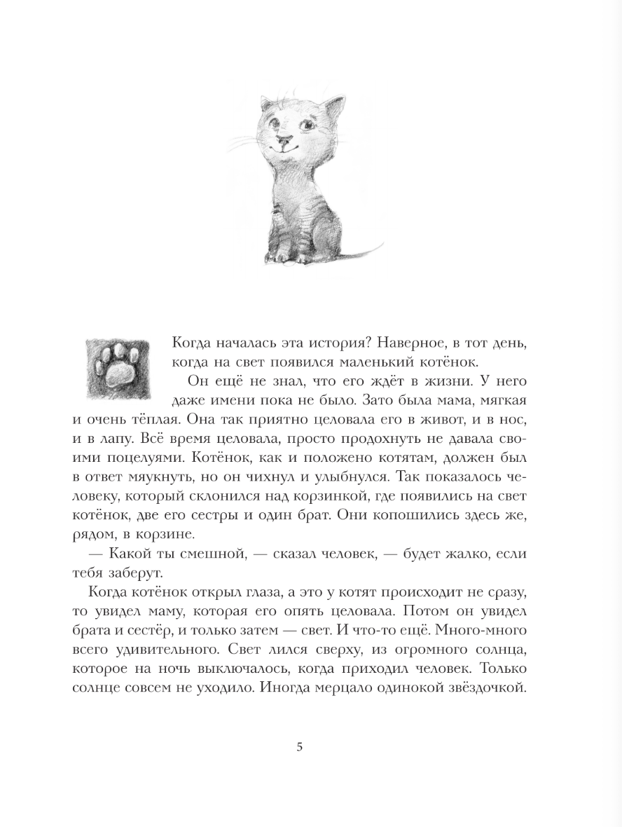 Большая книга приключений кота Тихона