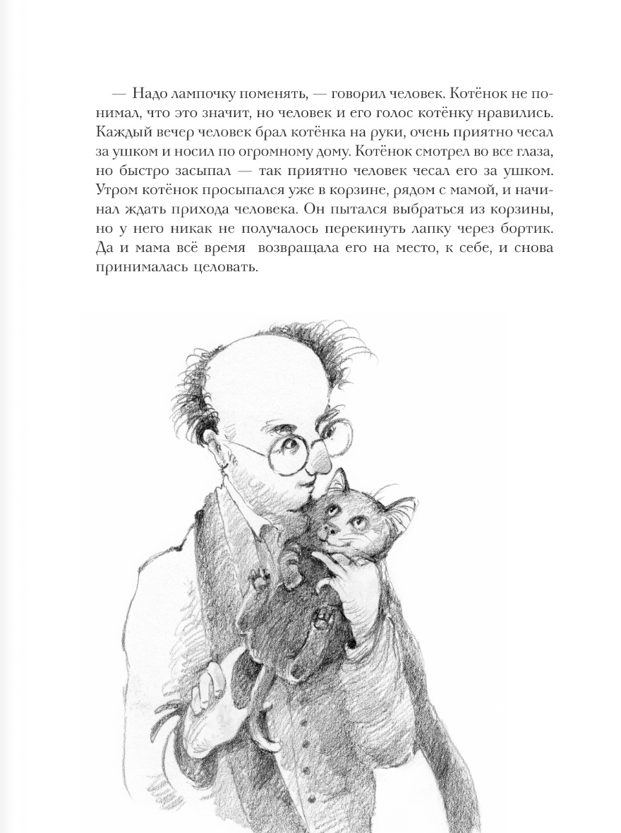 Большая книга приключений кота Тихона