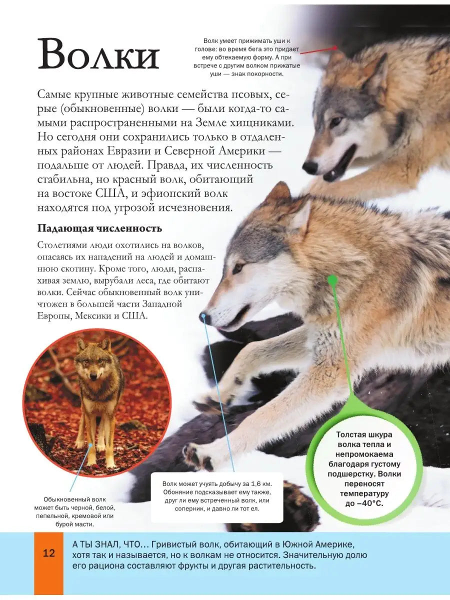 Большая энциклопедия почемучки. Мир животных