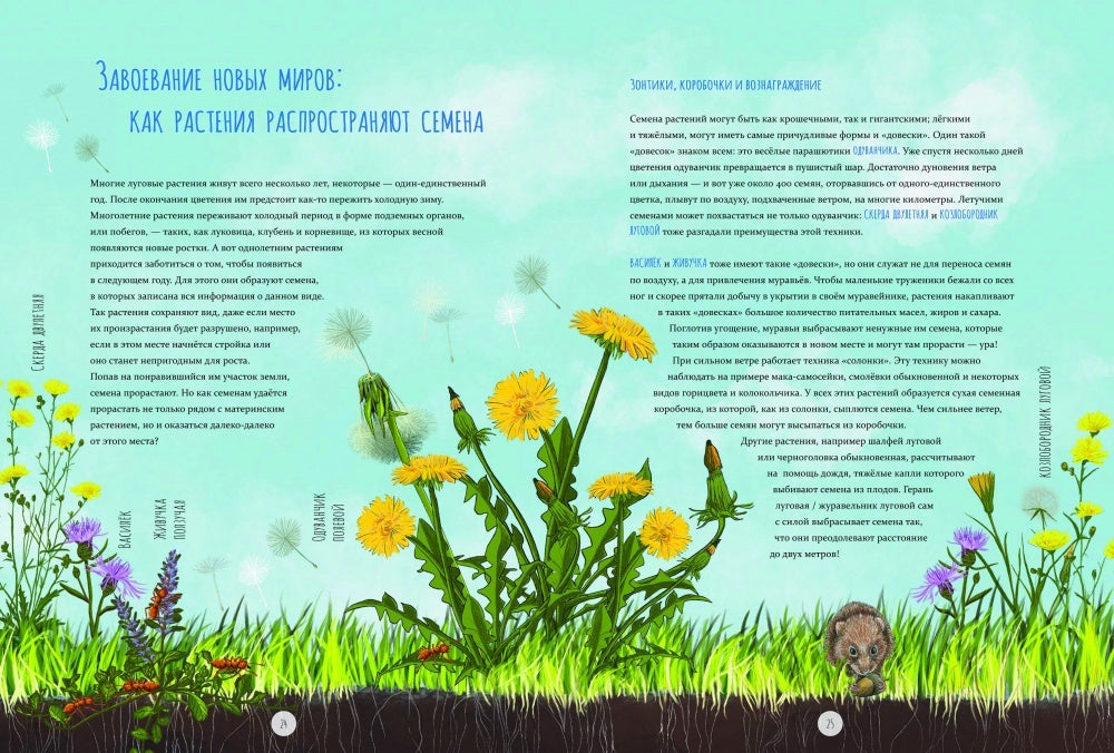 Дикий луг. Открываем многообразие мира, скрытого от нашего взора