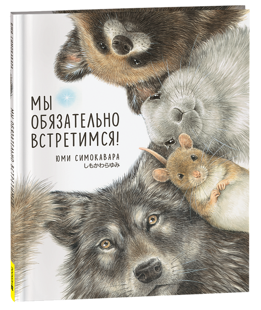 Мы обязательно встретимся