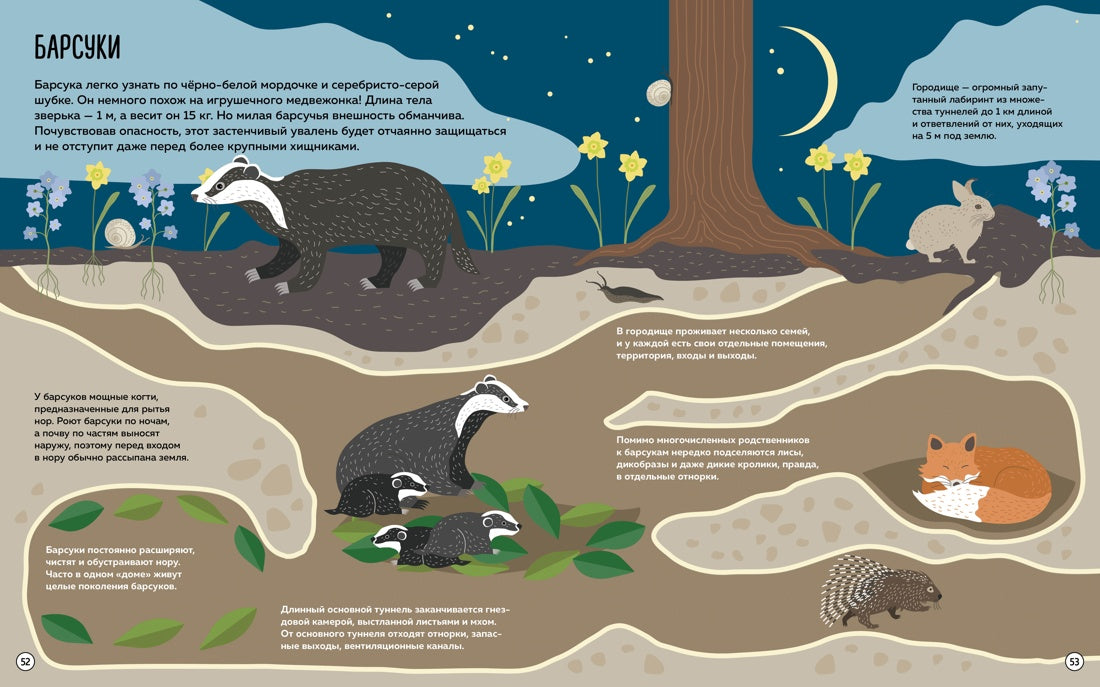 Что внутри? Как устроены дома животных