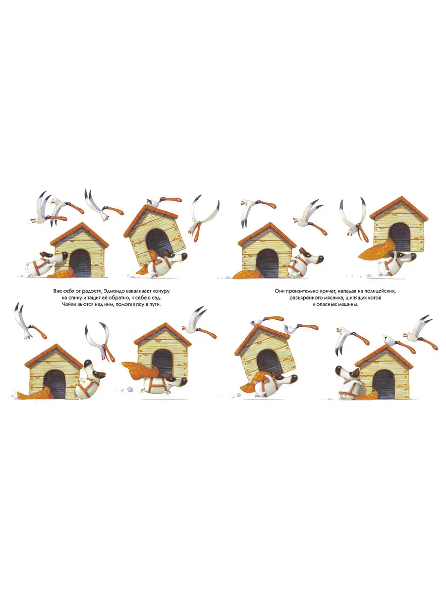 Эдмондо и его конура