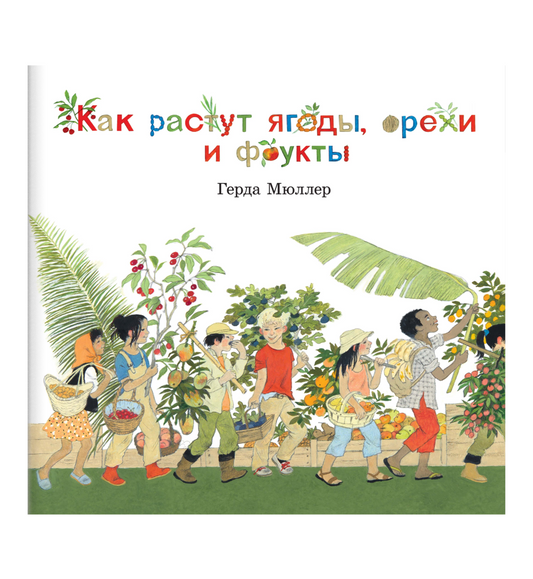 Как растут ягоды, орехи и фрукты
