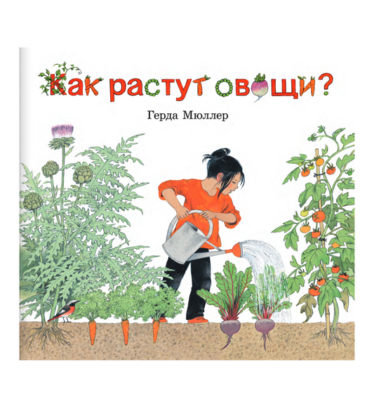 Как растут овощи?
