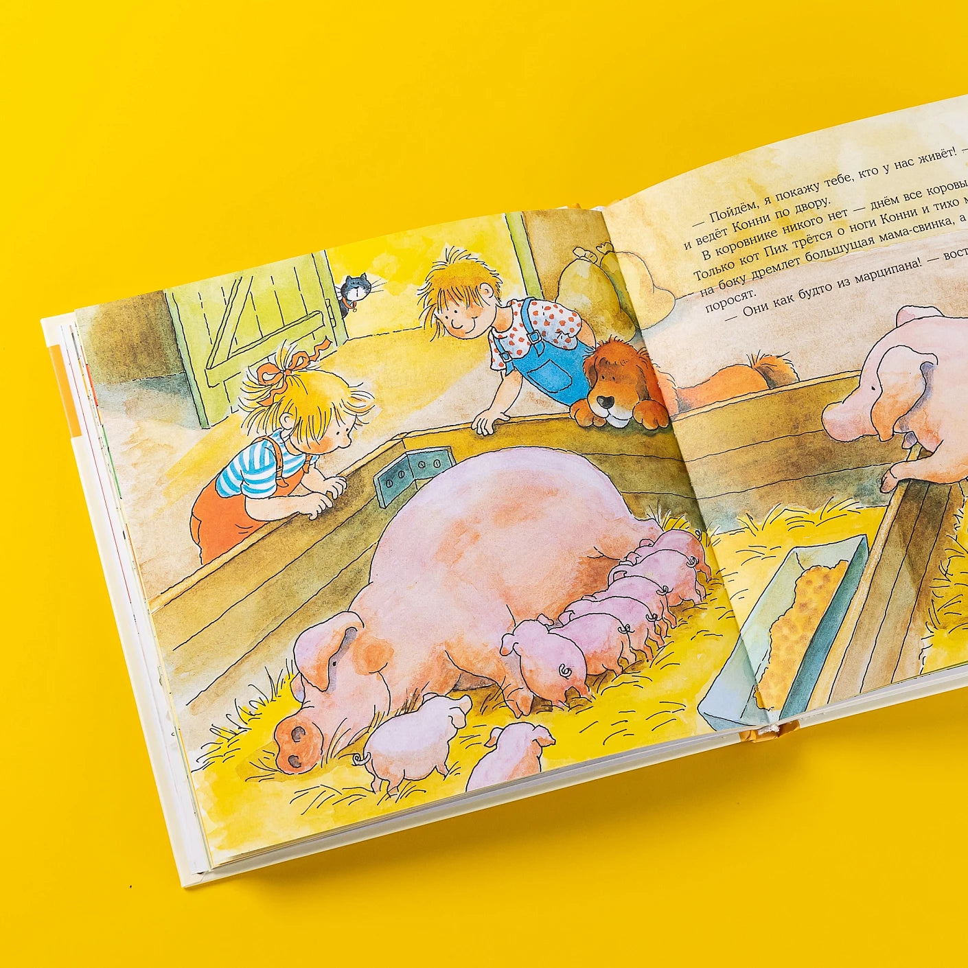 Большая книга приключений Конни. Животные