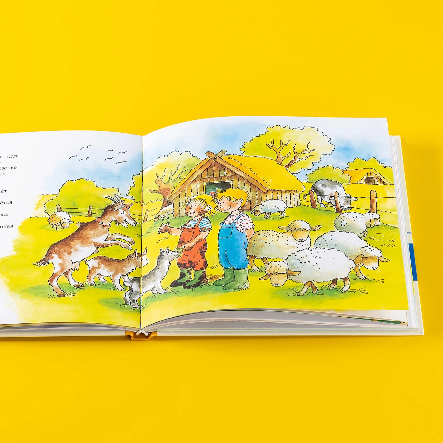Большая книга приключений Конни. Животные