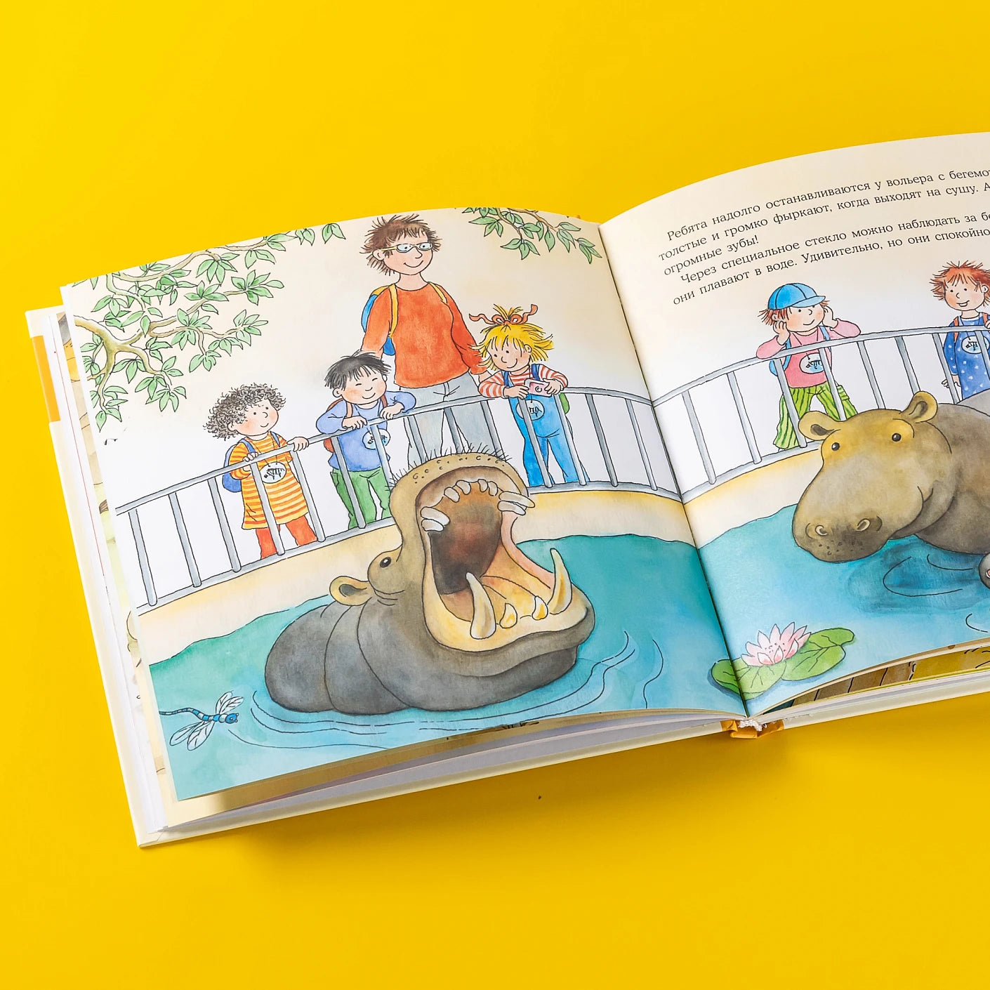 Большая книга приключений Конни. Животные