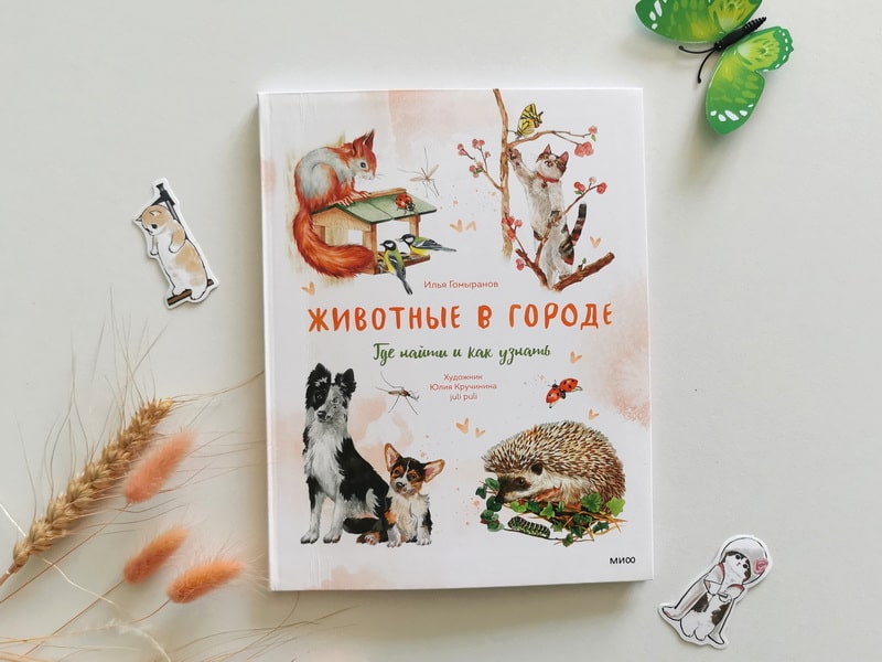 Животные в городе. Где найти и как узнать