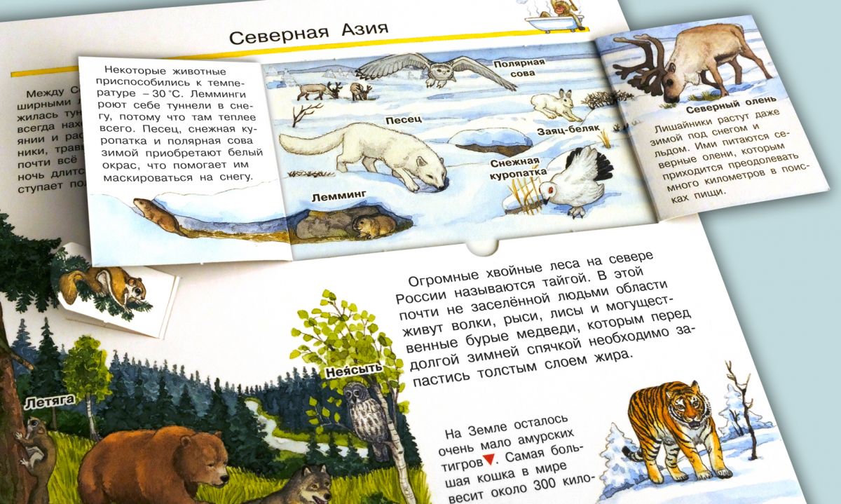 Что? Почему? Зачем? Мой первый атлас мира