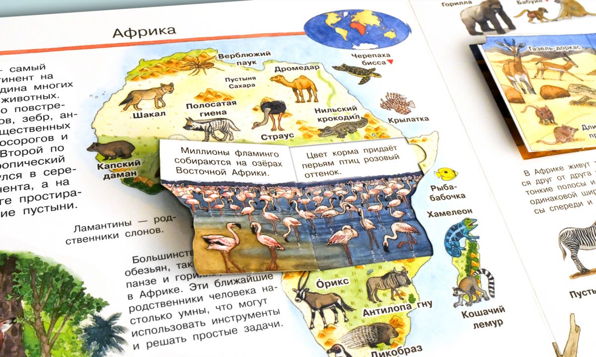 Что? Почему? Зачем? Мой первый атлас мира