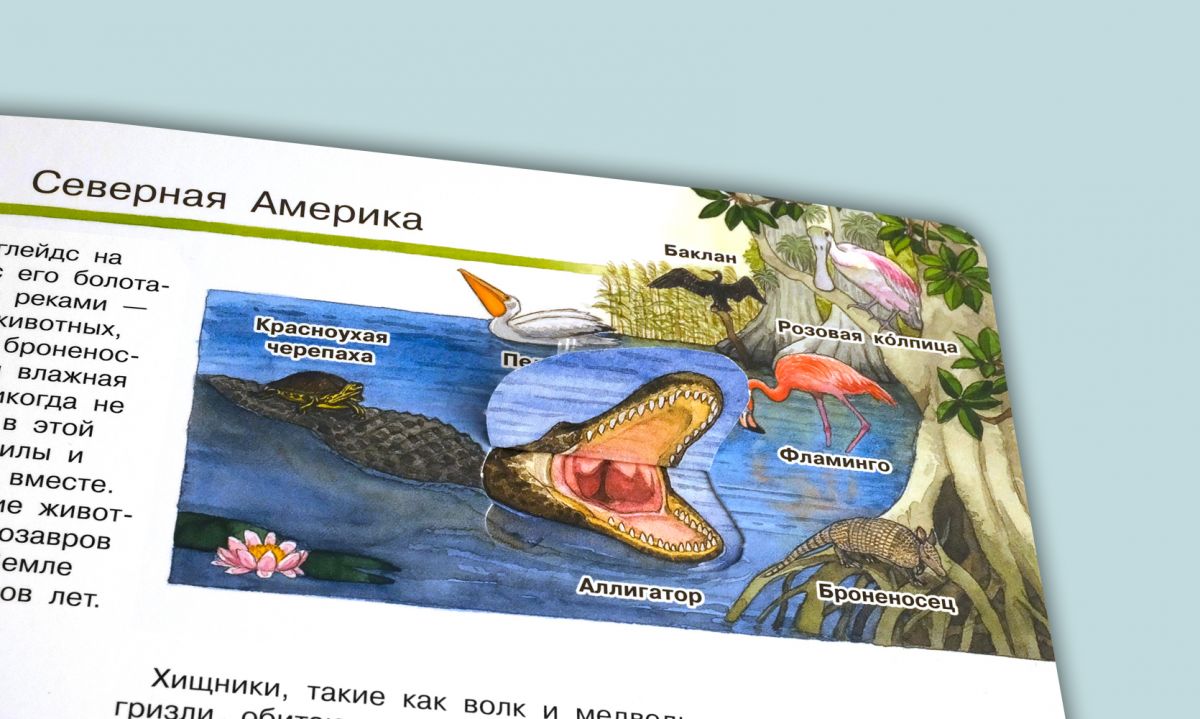 Что? Почему? Зачем? Мой первый атлас мира