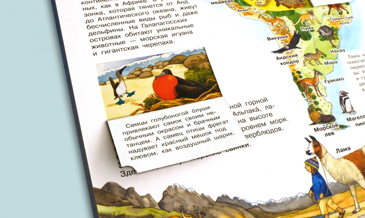 Что? Почему? Зачем? Мой первый атлас мира