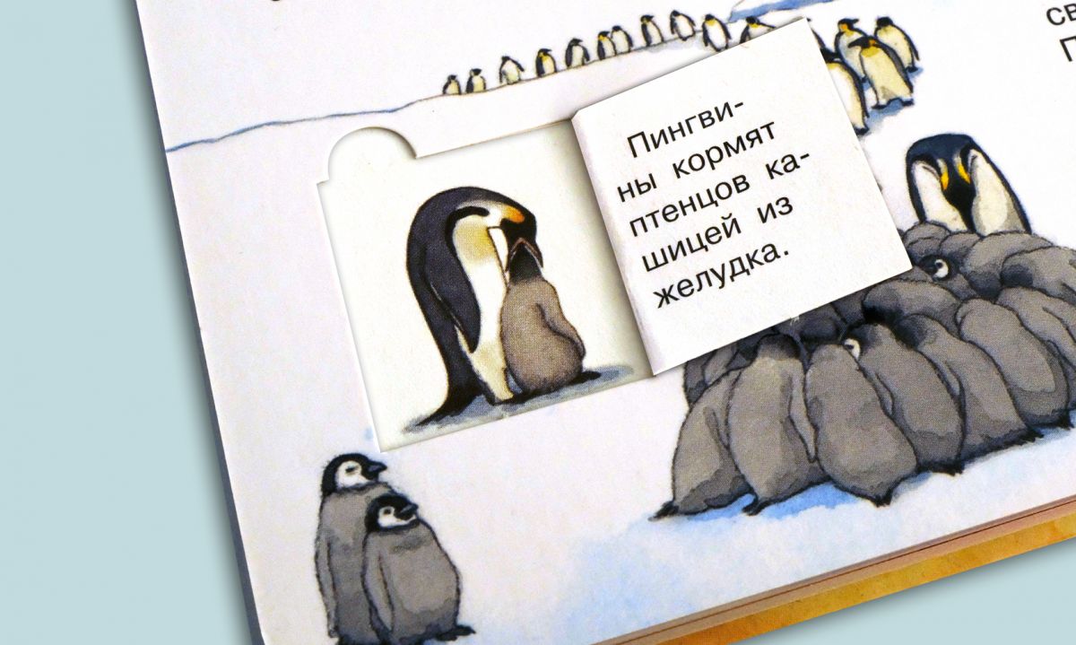 Что? Почему? Зачем? Мой первый атлас мира