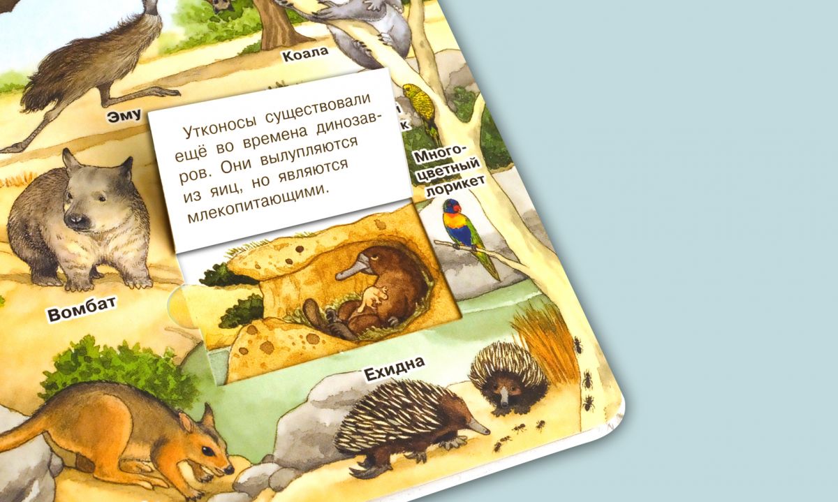 Что? Почему? Зачем? Мой первый атлас животных