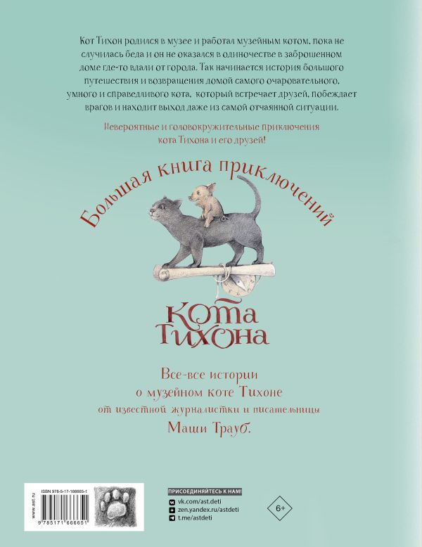 Большая книга приключений кота Тихона