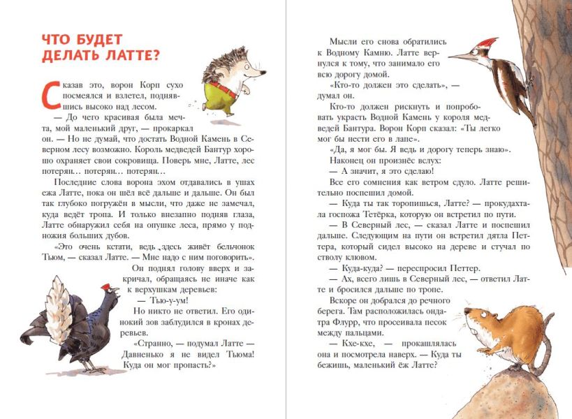 Еж Латте и Водный Камень. Приключение первое (ил. Д. Наппа)