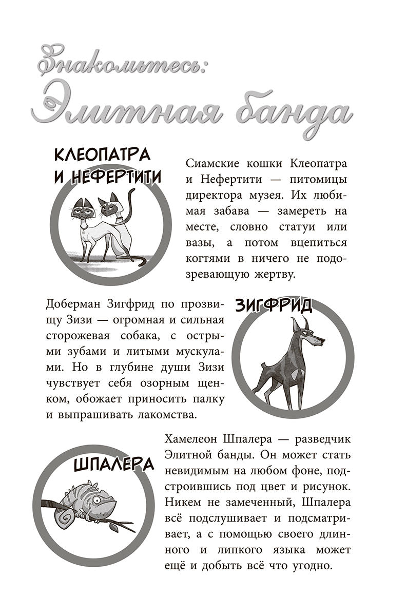 Банда бродяг: лапа лапу моет
