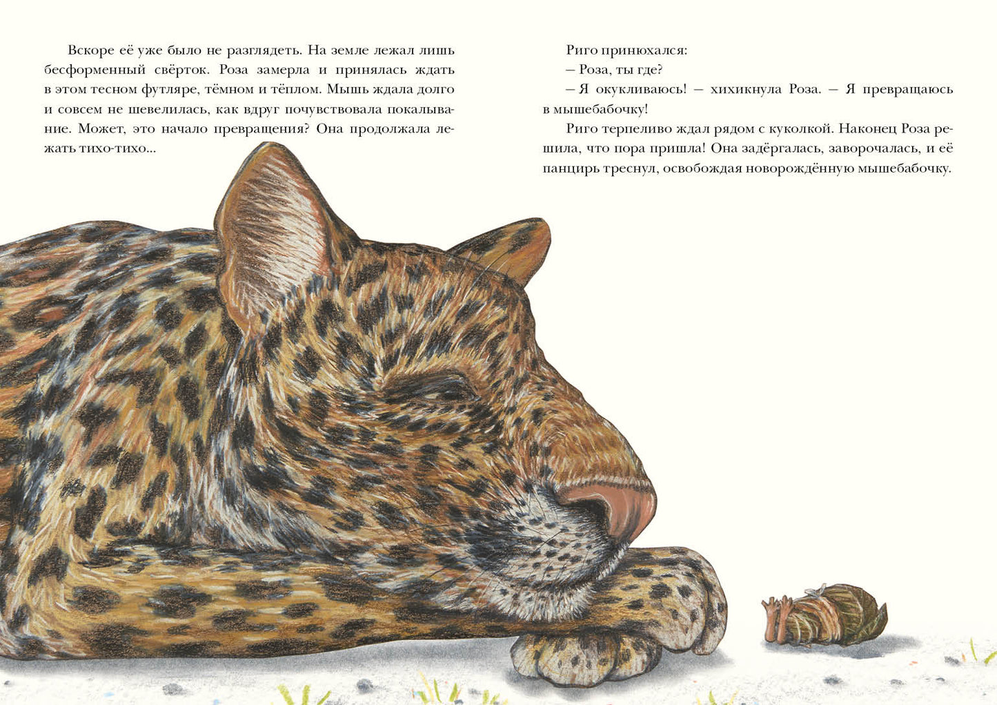 Риго и Роза. 31 история о чудных мелочах