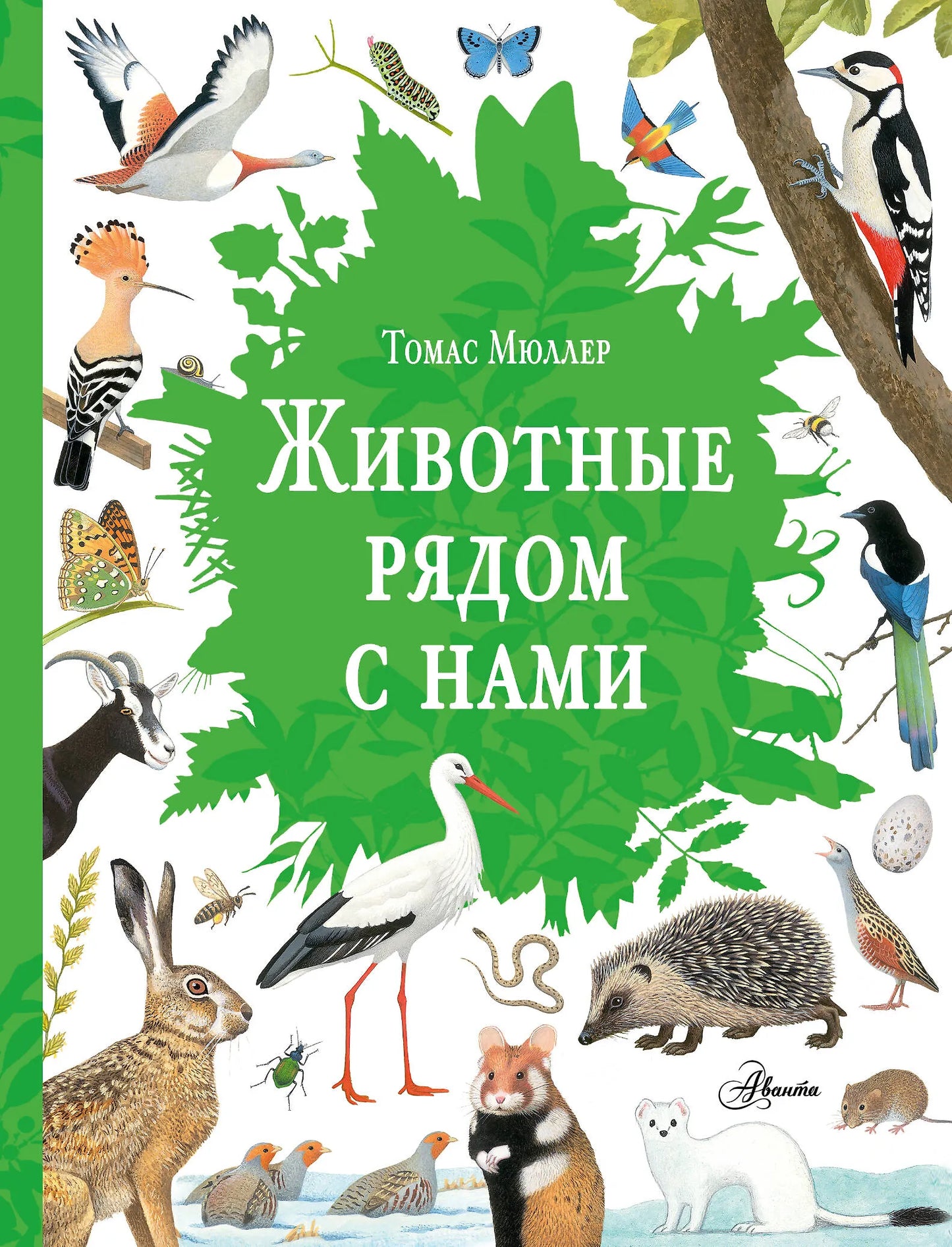 Животные рядом с нами