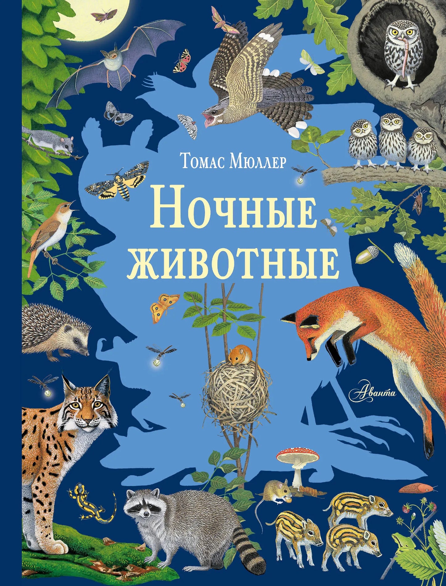 Ночные животные