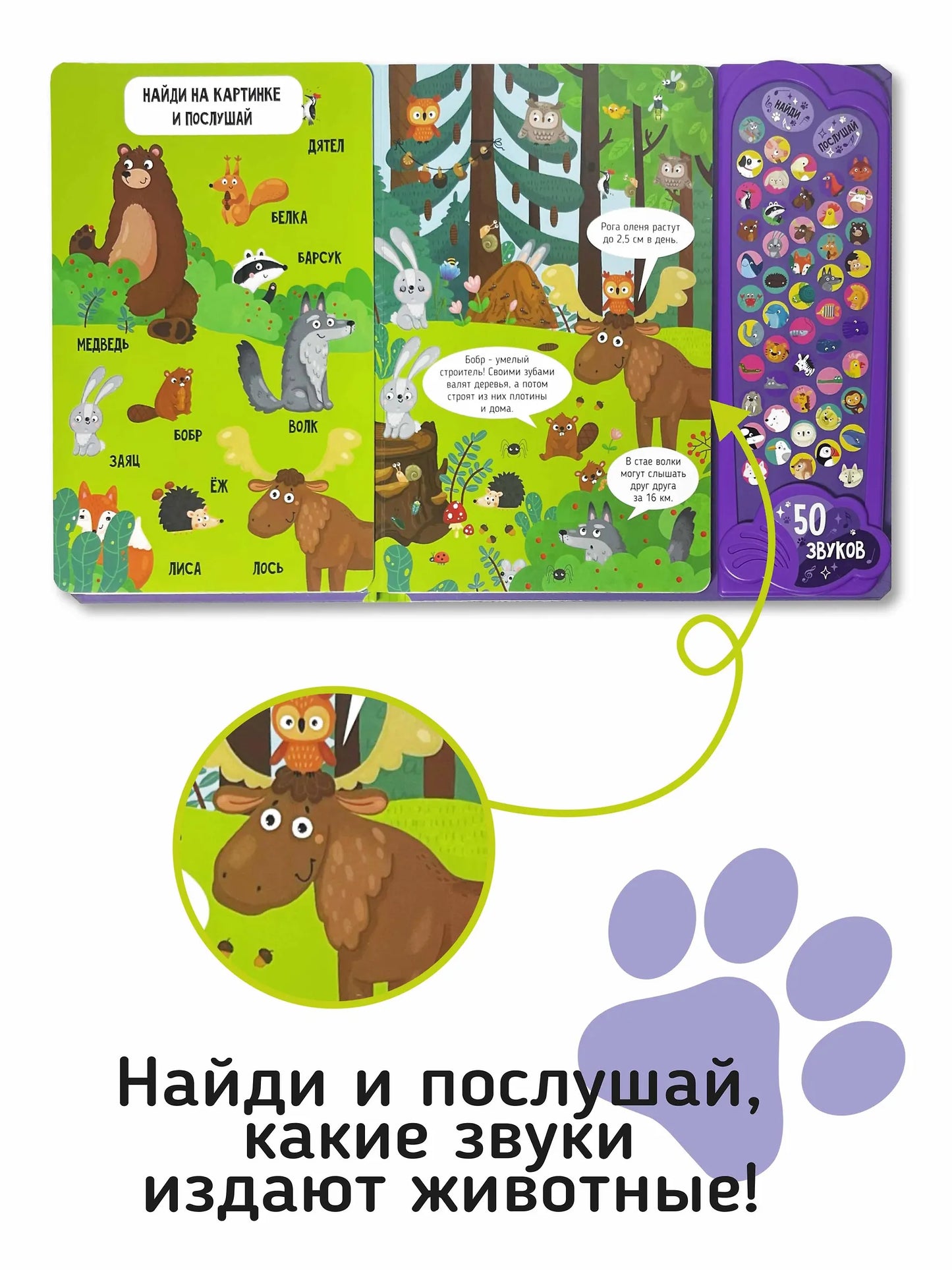 Животные. Интерактивная музыкальная книга