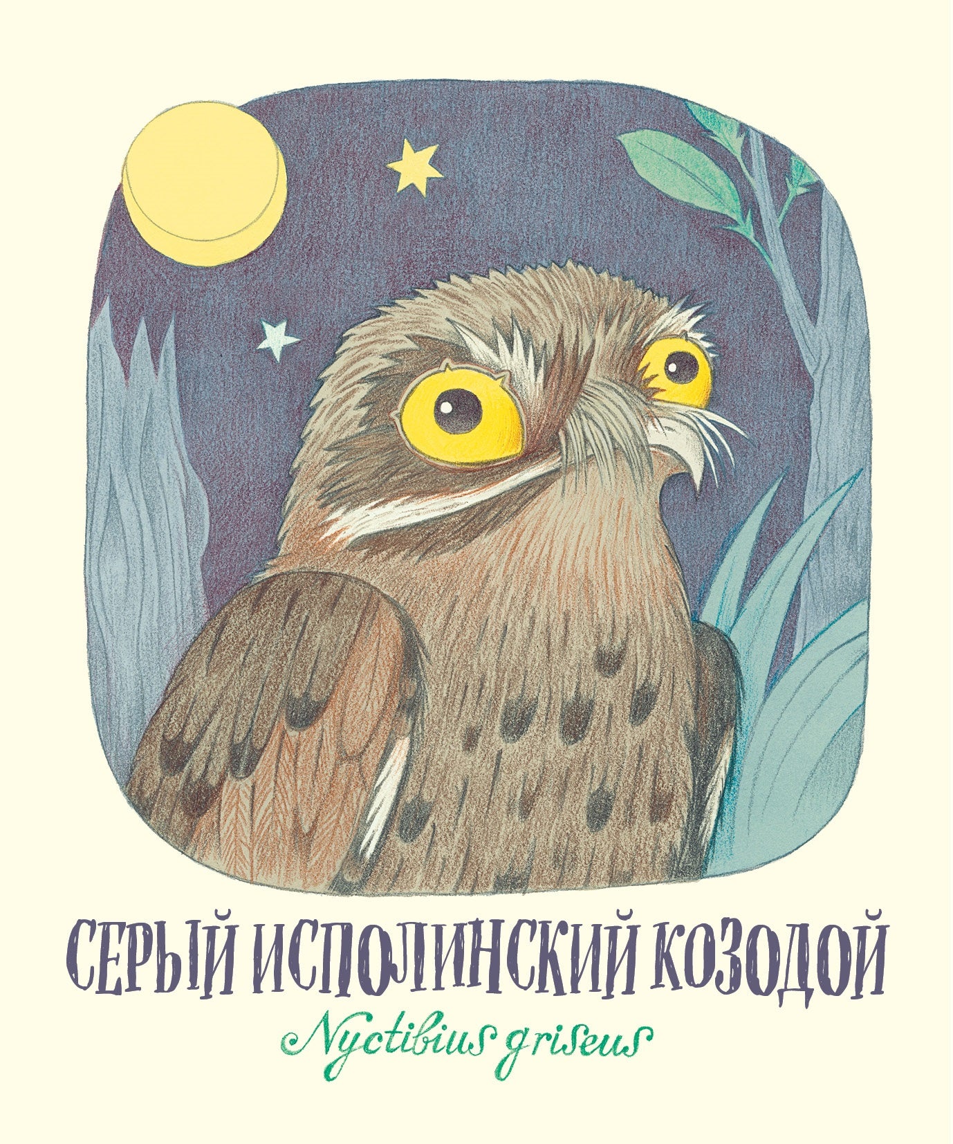 Гениальные глаза — разворот