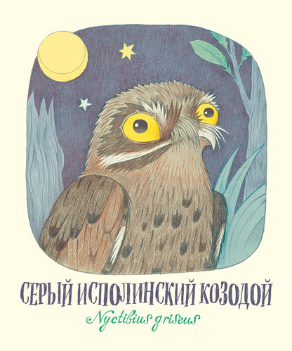 Гениальные глаза — разворот