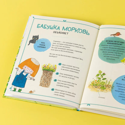В саду Базилика