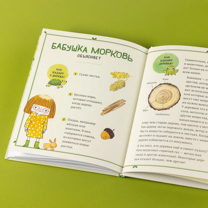 В саду Базилика