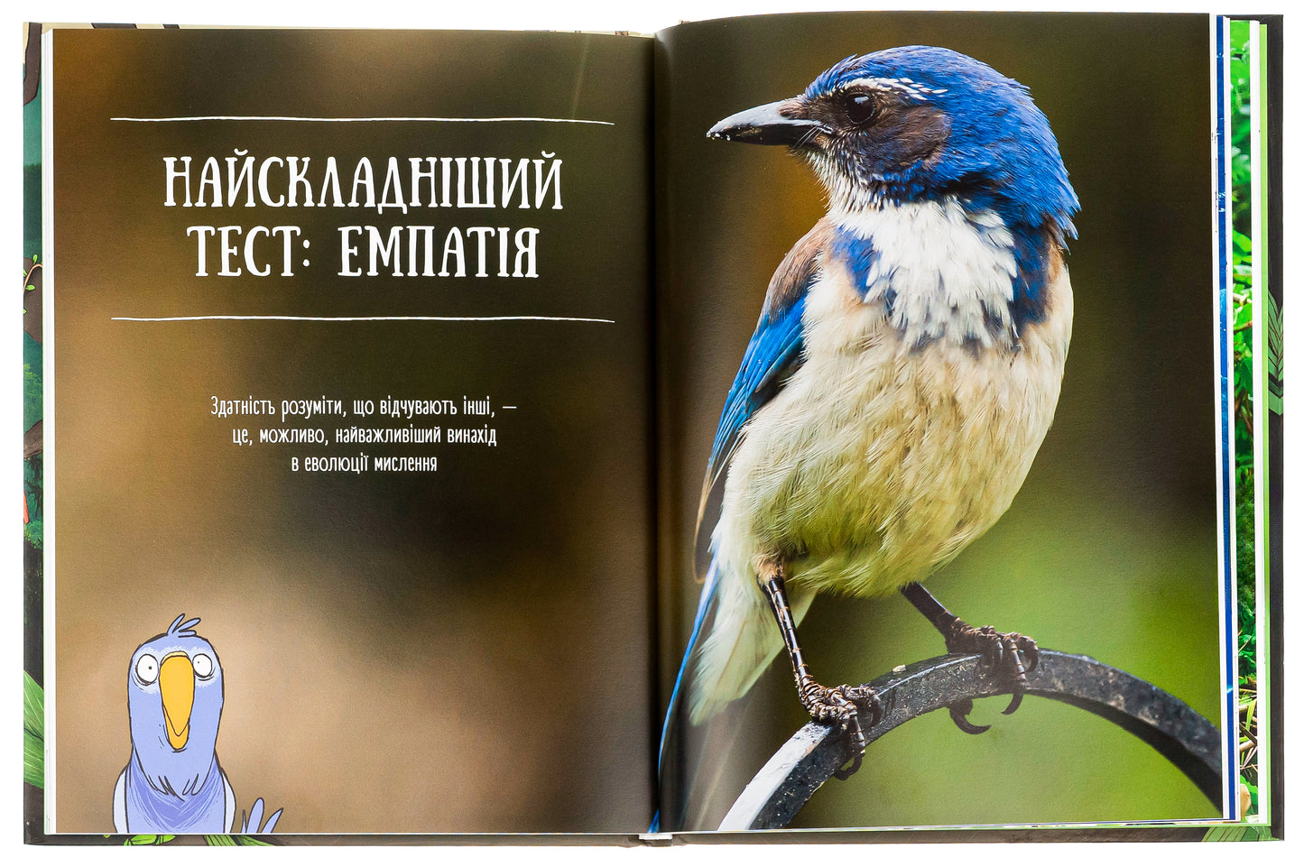 Про мислення і почуття тварин