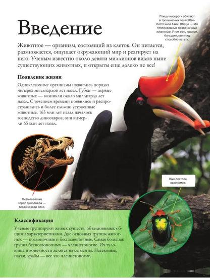 Большая энциклопедия почемучки. Мир животных