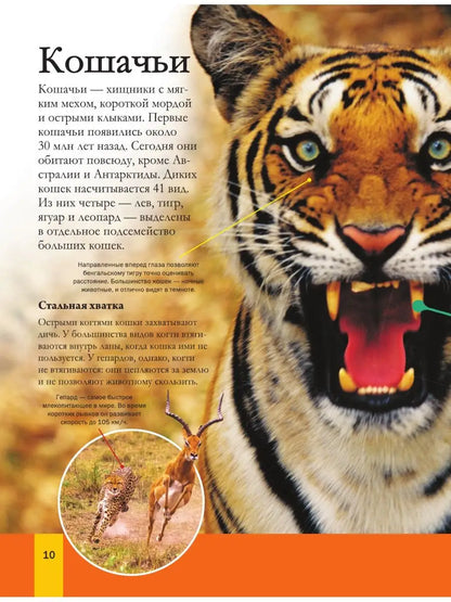 Большая энциклопедия почемучки. Мир животных