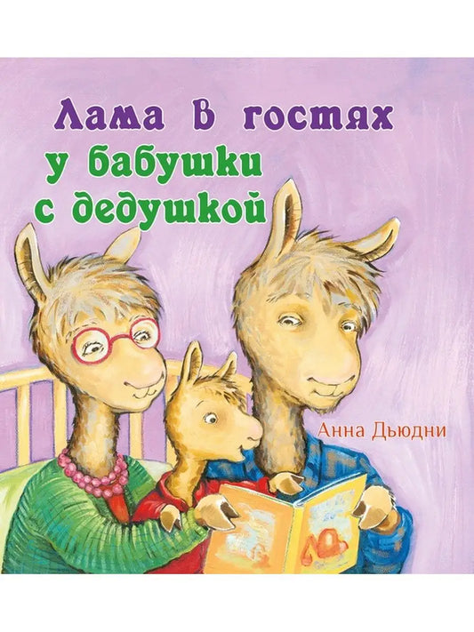 Лама в гостях у дедушки с бабушкой