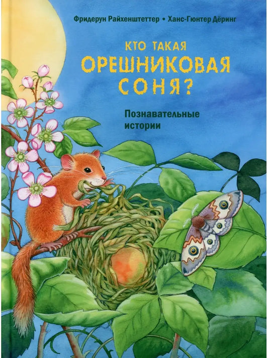 Кто такая орешниковая соня? Познавательные истории