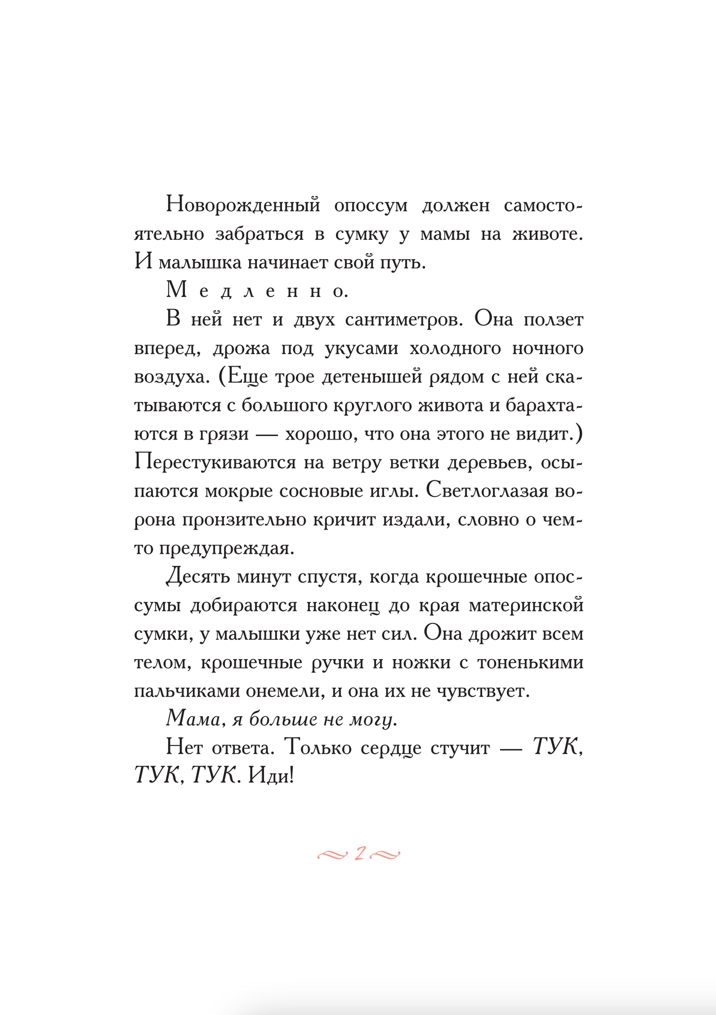 Опоссум по имени Апельсинка