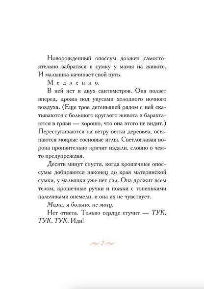 Опоссум по имени Апельсинка