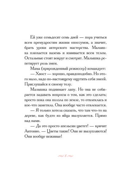 Опоссум по имени Апельсинка