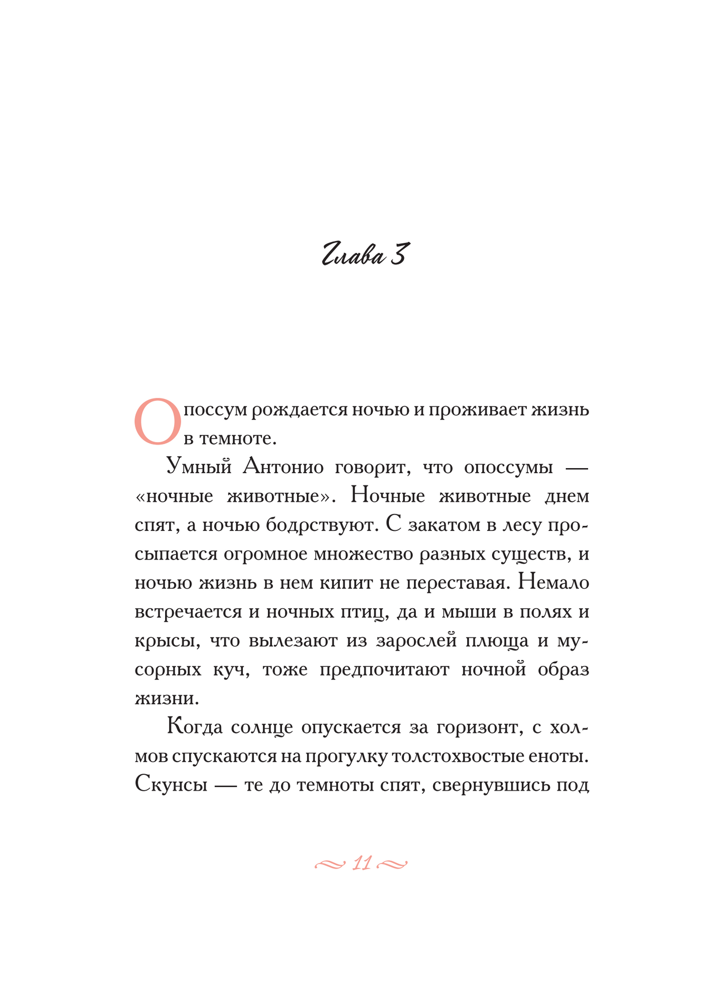 Опоссум по имени Апельсинка