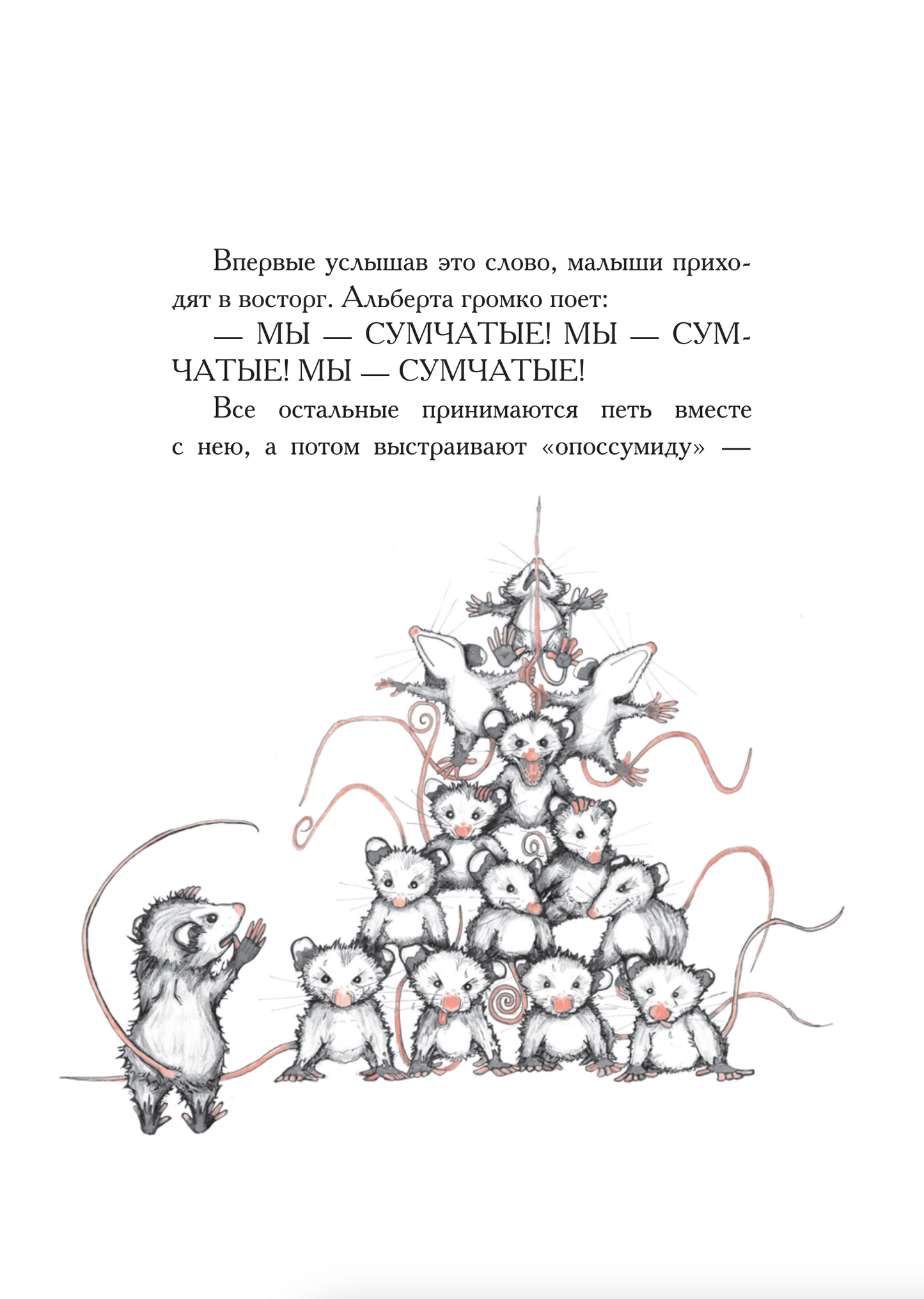 Опоссум по имени Апельсинка