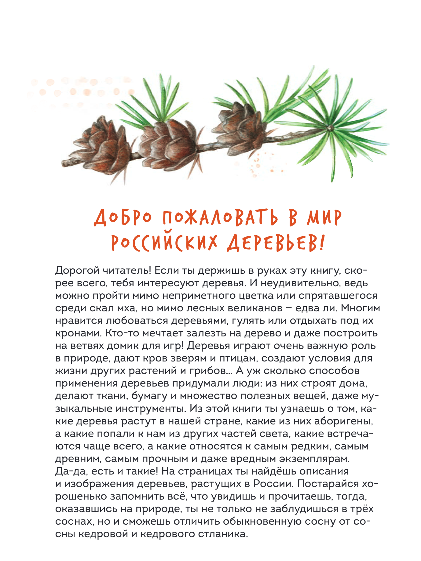 Деревья. Атлас-определитель