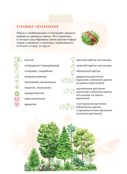 Деревья. Атлас-определитель