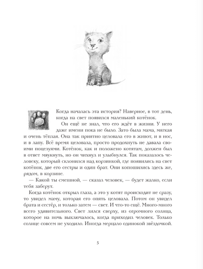 Большая книга приключений кота Тихона