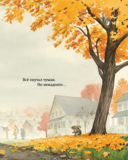 Вода, вода...Книга о круговороте воды