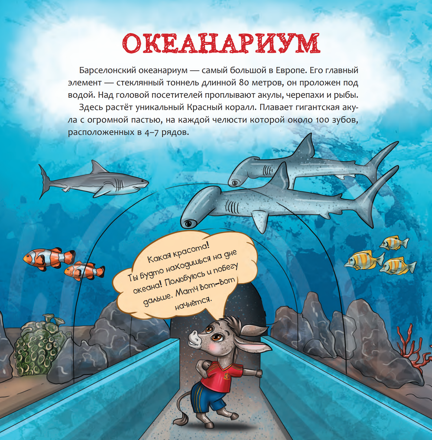Испания. Страна кроликов
