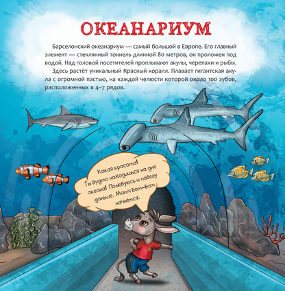 Испания. Страна кроликов