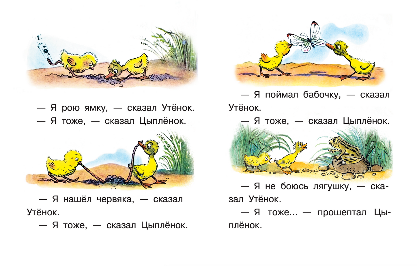 Цыпленок и утенок