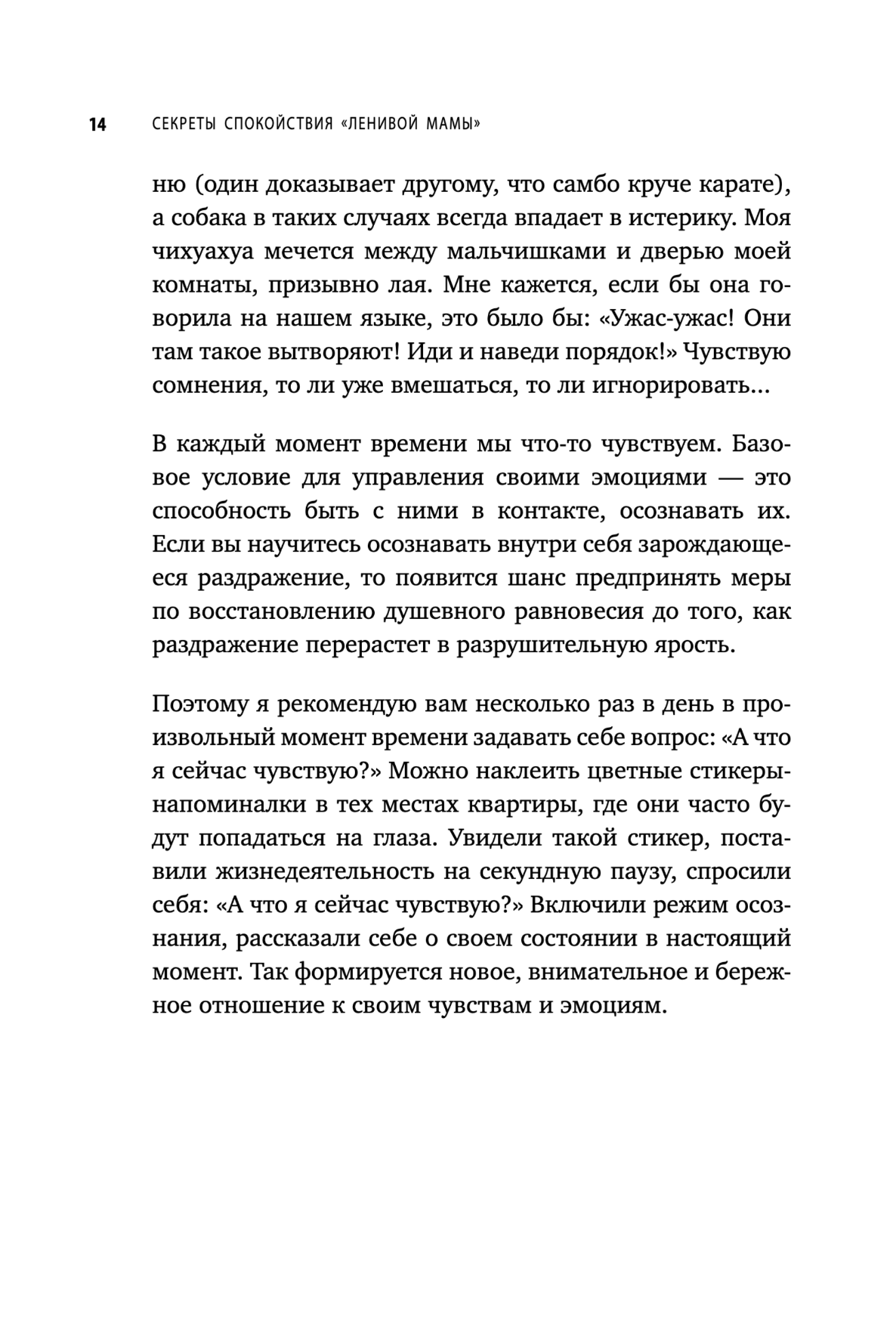 Секреты спокойствия "ленивой мамы"