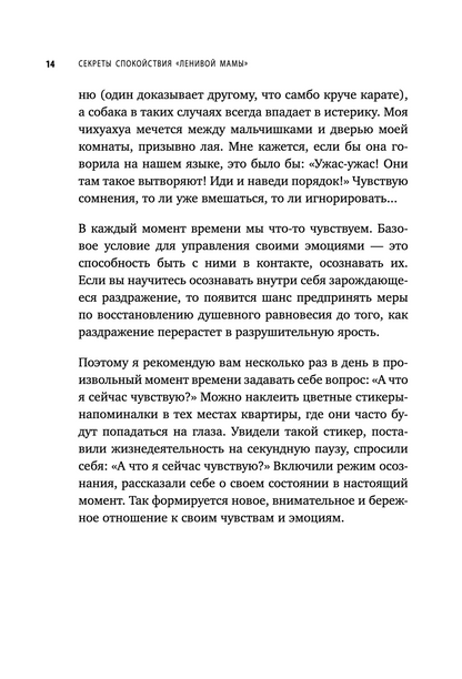 Секреты спокойствия "ленивой мамы"